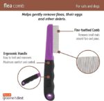 Flea - Image 2
